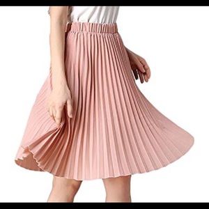 Pleated Chiffon Skirt